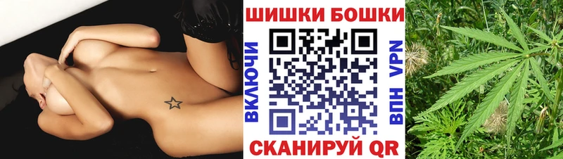 сколько стоит  Сураж  нарко площадка официальный сайт  Конопля Ganja 
